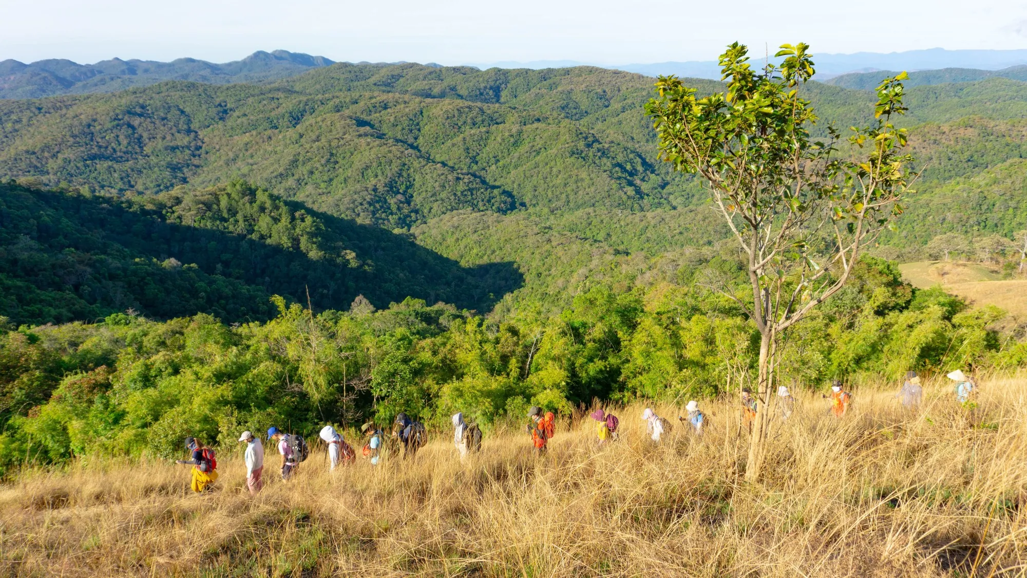 Featured image of post Tà Năng - Phan Dũng Trekking Tour 